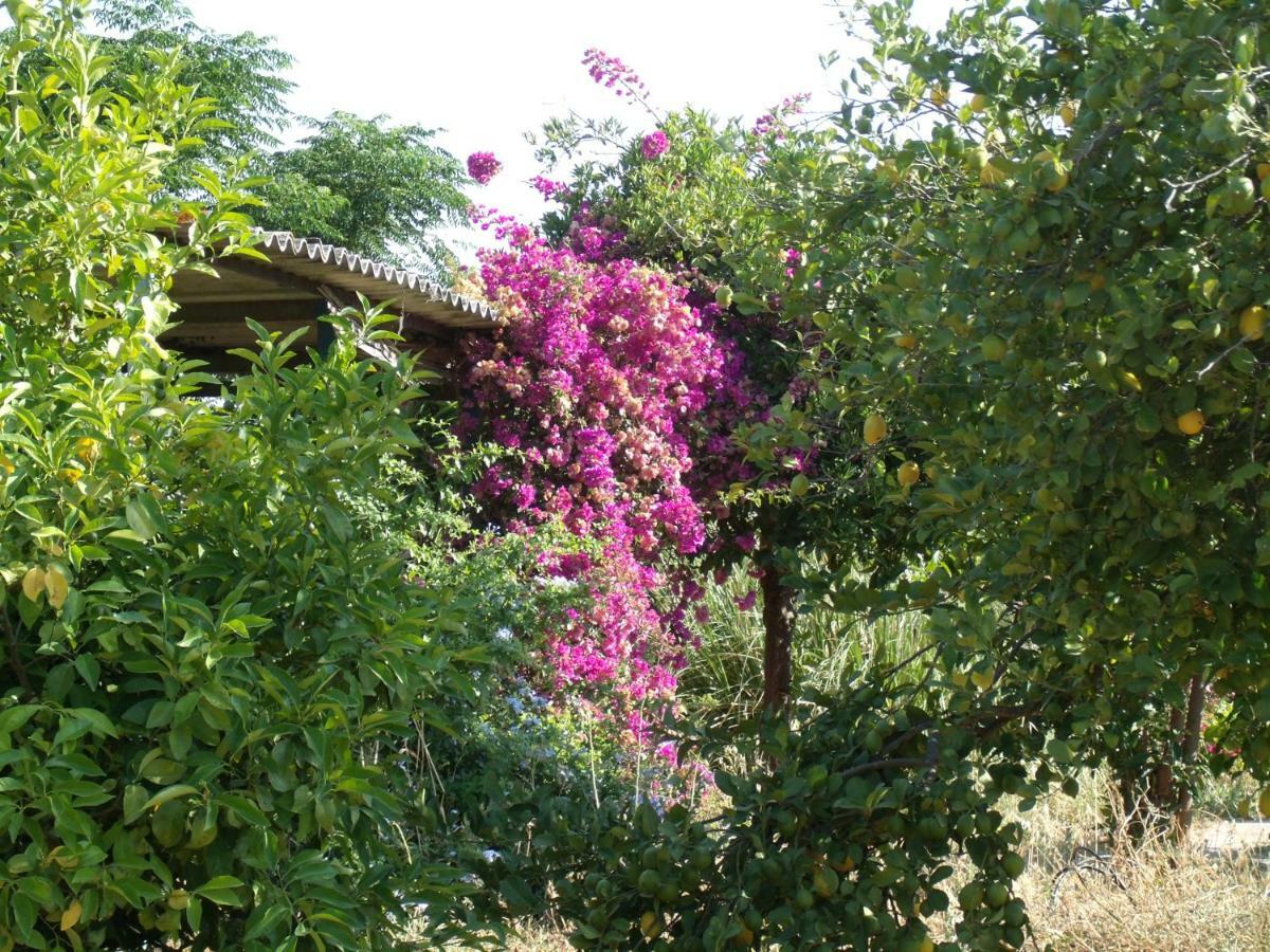 La Finca Blanca Alora Eksteriør bilde