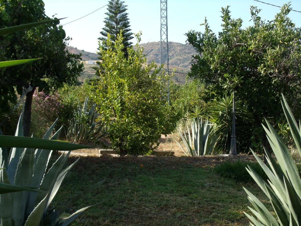 La Finca Blanca Alora Eksteriør bilde
